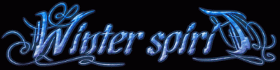 logo Winter Spirit